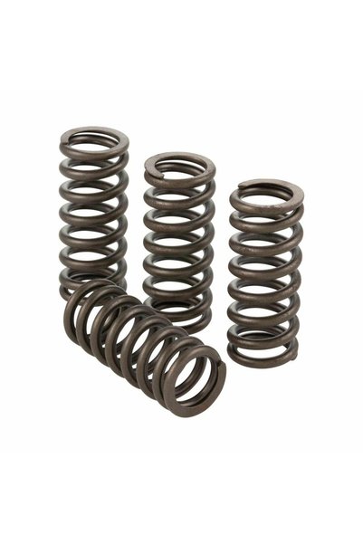 Polini Valve Subap Yayları 4 adet VESPA GTS 300 228.0132