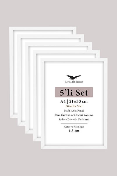 Raven Art Studio 5'li SET - A4 - 21cm x 30cm Hafif Arka Panel 300 mikron şeff...