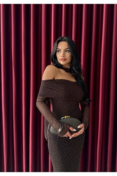 MAESTRO WOMAN Γυναικείο καφέ φόρεμα από τούλι με γιακά Madonna και πέτρινο φο...