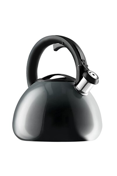 KADAX Gas Induction Kettle with Whistling 2.6L Traditional Steel Gray