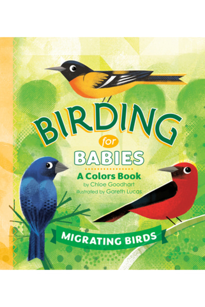 Penguin Workshop Observarea păsărilor pentru bebeluși: Păsări migratoare: O c...