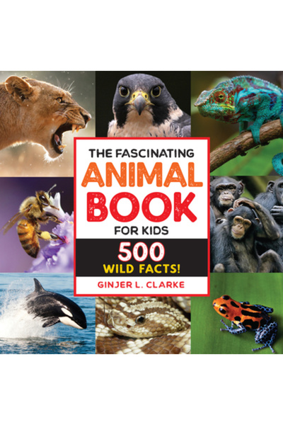Rockridge Pr The Fascinating Animal Book for Kids: 500 Wild Facts!