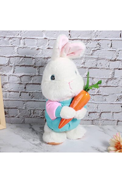 OEM Iepuraș de pluș interactiv 48 cm – Jucărie de pluș vorbitoare și plimbăre...