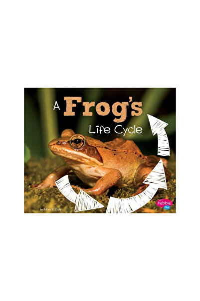 Capstone Pr A Frog's Life Cycle