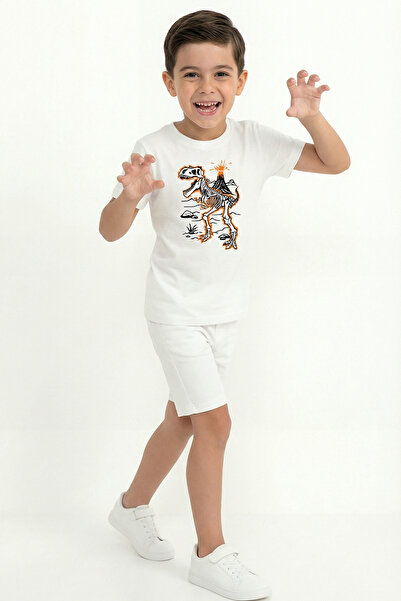 par lingerie pl Boy's Printed Shorts Set B15