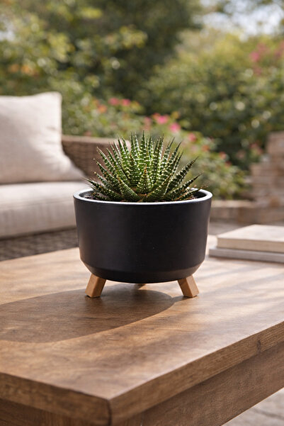 Binbirreyon Tripot Ayaklı Saksı Drenajlı İç Gövdeli 15x9cm 0,70Lt AH170