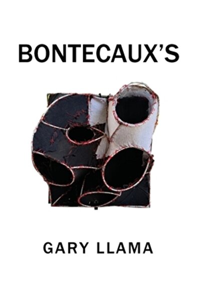 INDEPENDENT CAT Bontecaux's