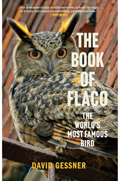 BLAIR Cartea lui Flaco: Cea mai faimoasă pasăre din lume