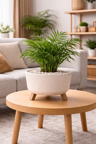 Binbirreyon Saksı Tripod Üç Ayaklı Saksı Drenajlı İç Gövdeli 22x12,5cm 2,25Lt...