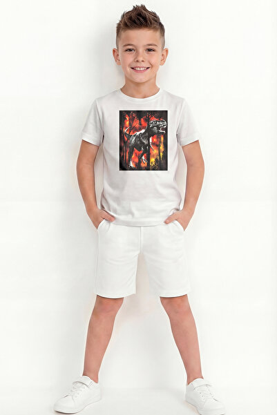 par lingerie pl Boy's Printed Shorts Set B20