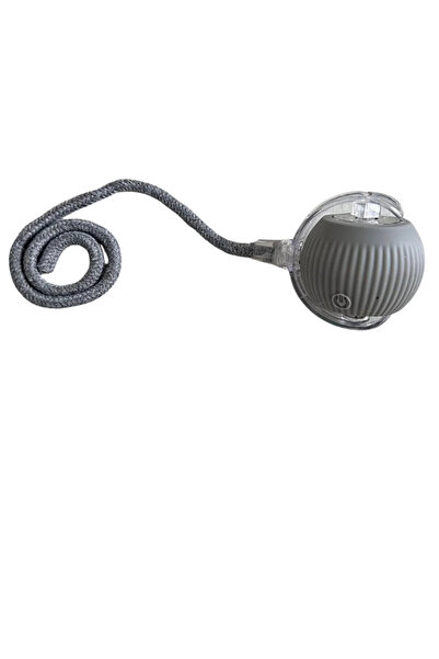 Store Akıllı kedi topu