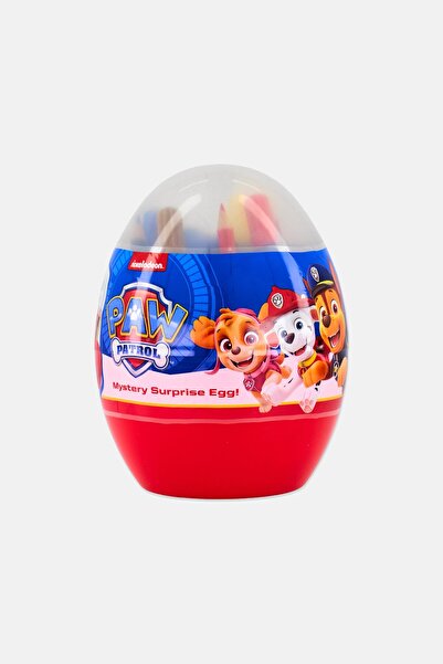 NİCKELODEON Paw Patrol Mystery Surprise Egg