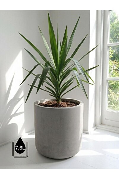 Store Modern Beton Saksı – Dekoratif Bitki Saksısı – Salon Ofis İç Mekan Çiçe...