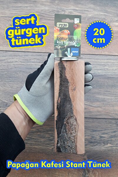 Vixpet فيينتي (الجوجين) عصافير الببغاء 20 سم جاكو أمازون أليكس سلطان موهابيت ...