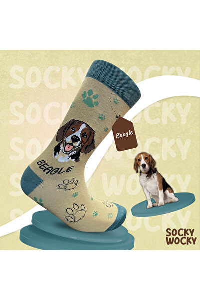 Socky Wocky Șosete unisex din bumbac cu imprimeu Beagle