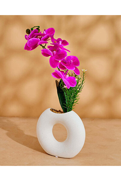 REDTAG Purple Orchid In Circle Vase