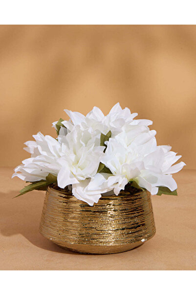 REDTAG زهرة داليا ذهبية اصطناعية في أصيص (ارتفاع 17 سم × عرض 25 سم)