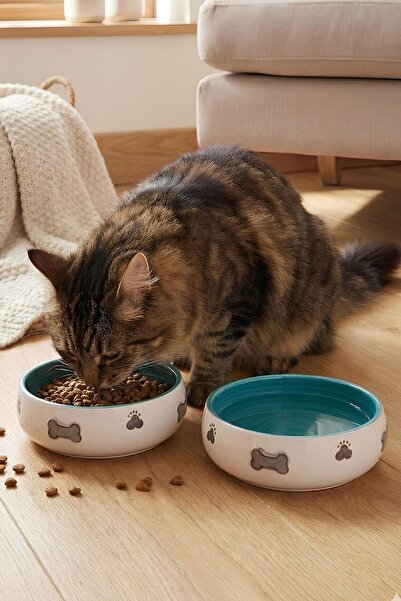 Pawicci Kedi & Köpek, Evcil Hayvan Mama ve Su Kabı-2'li Kabartma desenli Set, 350 ml