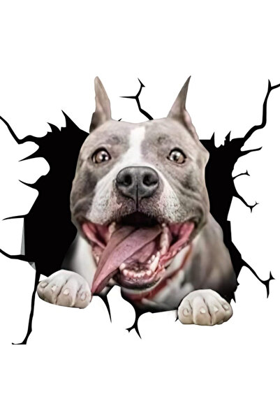 MaffStuff Amstaff Bull Terrier dog decorative sticker self-adhesive, 30 x 30 cm