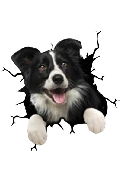 MaffStuff decorative wall sticker dog modern design 30x30 cm