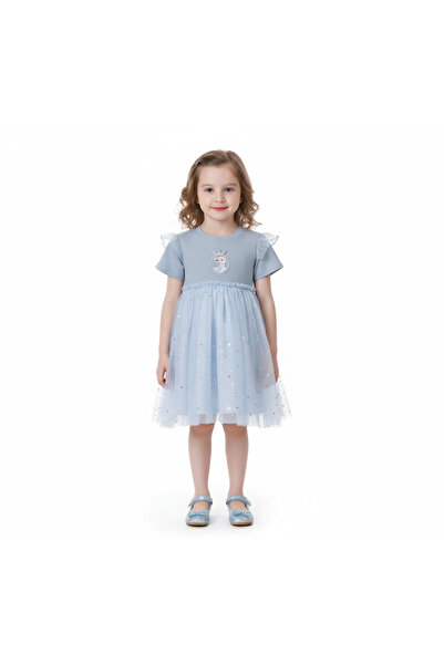 Bidani -Fantasy Grey Dress, Light Blue, 1Y to 8Y
