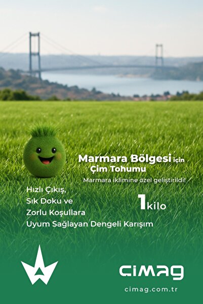 Marmara Bölgesi Çim Tohumu - 1 Kilo
