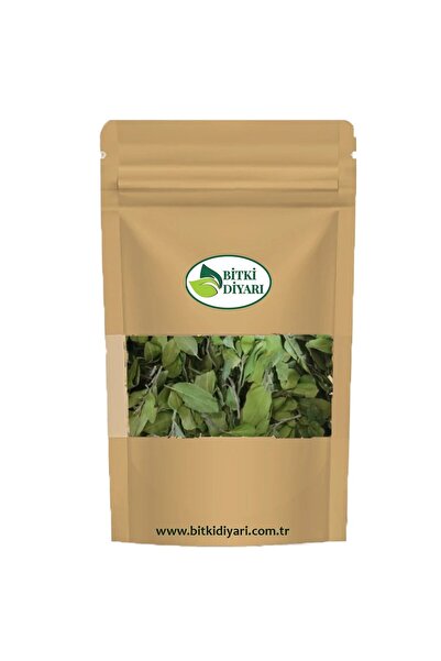bitki diyarı أوراق شجرة السدر العربية 40 جرام