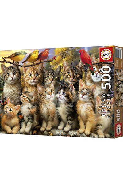EDUCA Puzzle 500 piese - Kittens and Birds (Educa-20241)