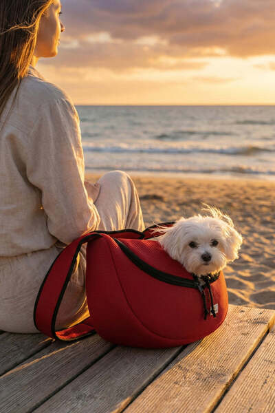 GOBYPET Kedi ve Köpekler İçin Kucakta Taşıma Çantası