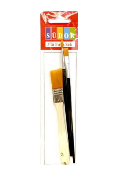 Südor Set de perii pentru podele umede și uleioase (SFSET36)