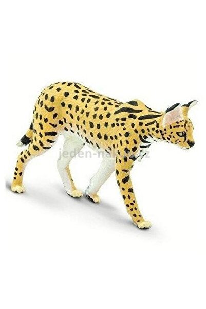 Safari Serval (saf100237)