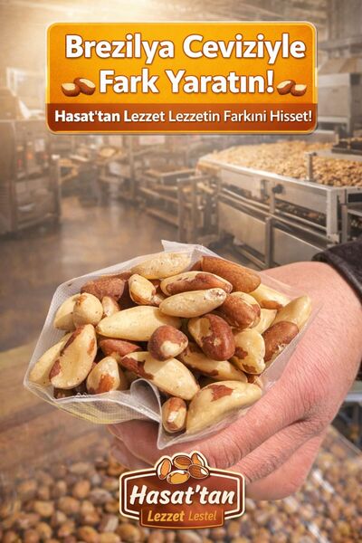 HASATTAN KURUYEMİŞ BREZİLYA CEVİZ İÇİ İRİ TANE 100 gram