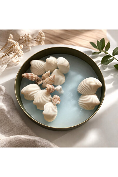 FreyaCandle Mum Deniz Kabuğu Temalı Okyanus Kokulu