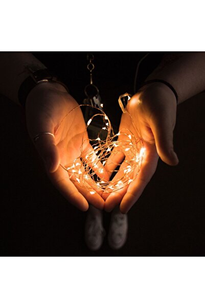 FAMİLY LED light string - 10 pcs., warm white - 1 m - 2 x AA