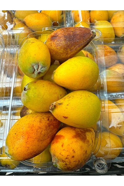 ALANYADAN TROPİKAL Alanya Malta Eriği Yenidünya 500 GR