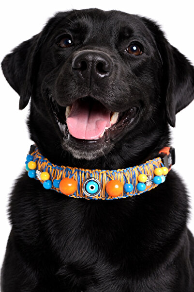 She Sells Kuçiko Sunset Dog Collar – Handmade Boho Design Adjustable 35-50 cm