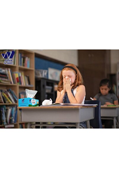lotus alwadi Back to School Facial Tissue 130 Sheet, 2ply, 30 Boxes/Carton, 3900 Tissues Total - All