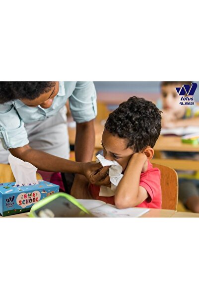 lotus alwadi Back to School Facial Tissue 130 Sheet, 2ply, 30 Boxes/Carton, 3900 Tissues Total - All