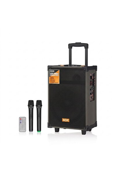 a+ anyplus Ahşap Kasalı Taşınabilir Bluetooth Karaoke Hoparlör 50W Çift Kablo...
