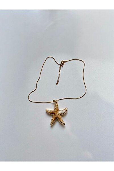 Classy Deniz Kabuğu Kolye Kadın Çelik Kolye Minimal Deniz Temalı Şık Günlük K...