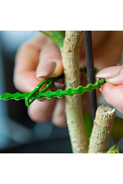 Garden of Eden Set de legături διαλυτό pentru plante