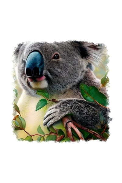 OEM Διακοσμητικό αυτοκόλλητο, Κοάλα, Γκρι, 55 εκ.