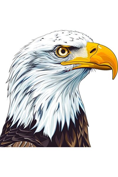 OEM Διακοσμητικό αυτοκόλλητο, αετός, λευκό