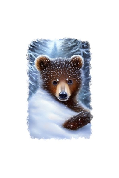 OEM Διακοσμητικό αυτοκόλλητο, Αρκουδάκι, Καφέ, 85 εκ.