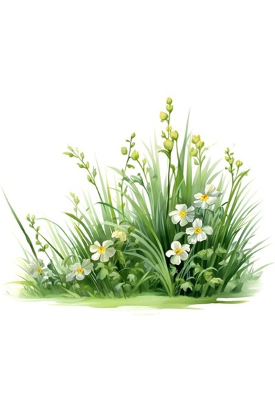 OEM Autocolant decorativ, iarbă cu flori, verde