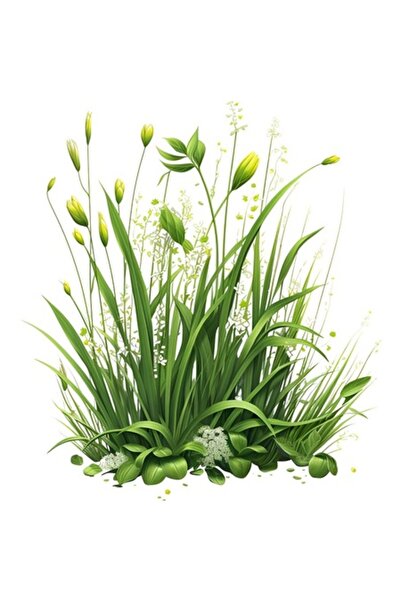 OEM Autocolant decorativ, iarbă, verde