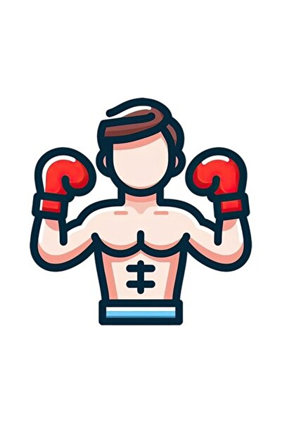 OEM Διακοσμητικό αυτοκόλλητο, Boxer, Πολύχρωμο