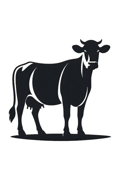 OEM Διακοσμητικό αυτοκόλλητο, αγελάδα, μαύρο