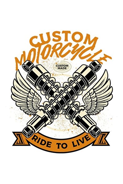 OEM Motorcycle Illustration Sticker