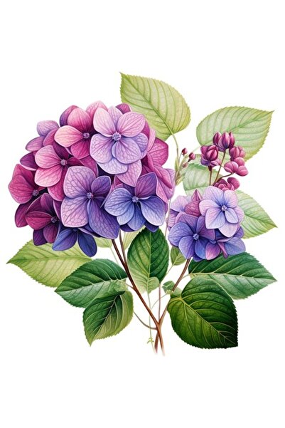OEM Decorative Sticker, Hydrangea Flower, Purple
